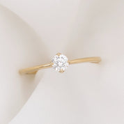 【一点物】アリスリング枠 ブリリアントカットダイヤモンド 0.25ct