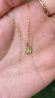 Birthstone Sirius Charm