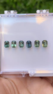 0.70-0.80ct Calibrated Emerald Green Sapphire (6-6.5mm) CS286