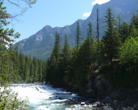Why Montana Sapphires Are Envero’s Choice for the Ultimate Non-Traditional Engagement Ring