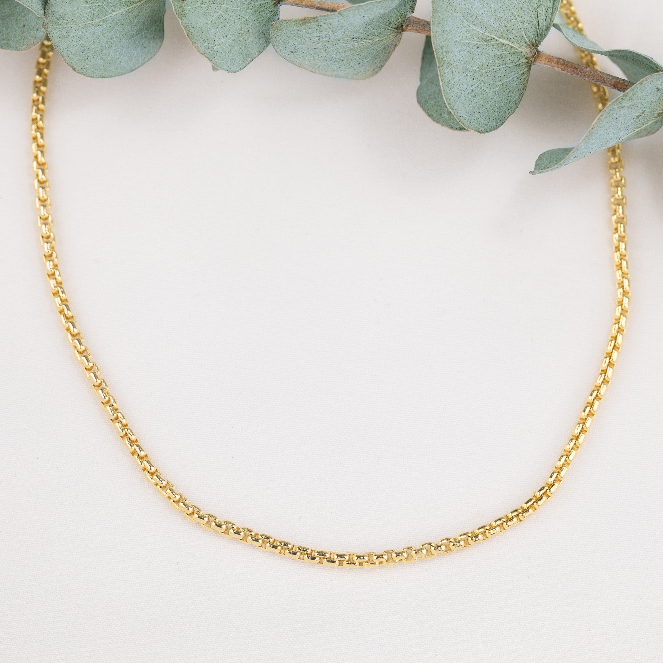 14K Gold Round Box Chain Necklace | 2.1mm