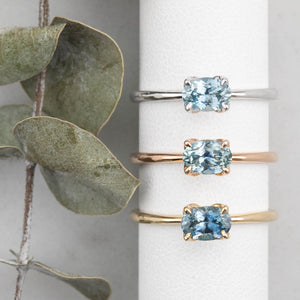 Sara Ring, 0.60-0.80ct Montana Sapphire