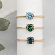 Three gold rings with gemstones on a white cylindrical object with green leaves in the background