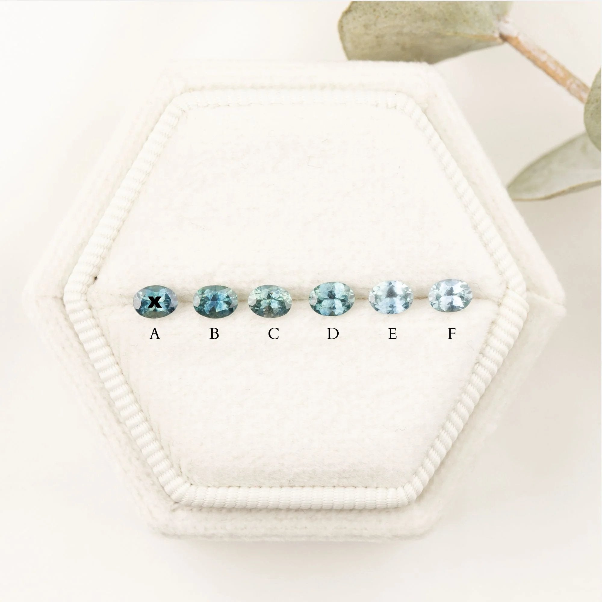 cs024ms-ov-4x3-0.20-blue_2.jpg