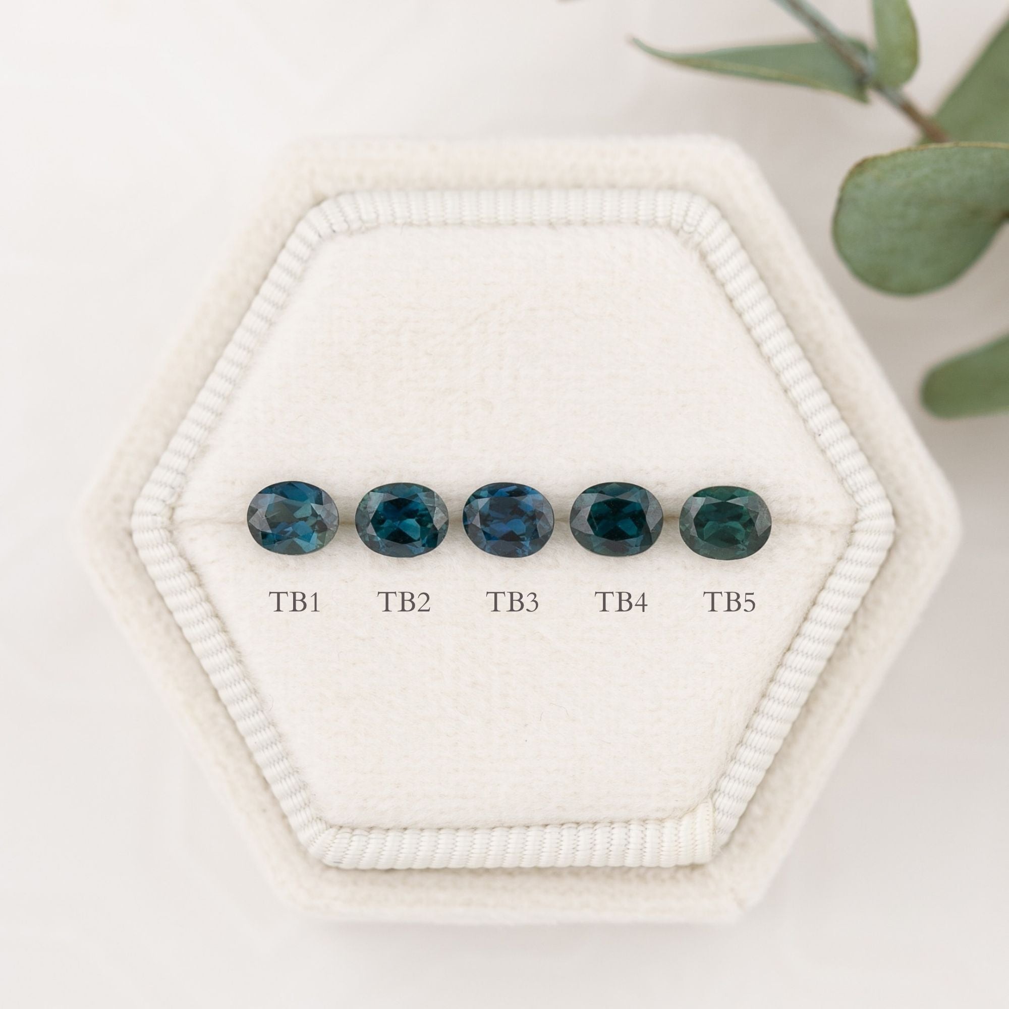 cs109qs-o-5x4-0.45-bg-cap.jpg
