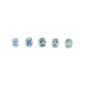 0.45ct Calibrated Oval Montana Sapphires (5.0mm)