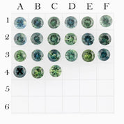 0.45ct Calibrated Round Queensland Sapphires (4.5mm) CS174