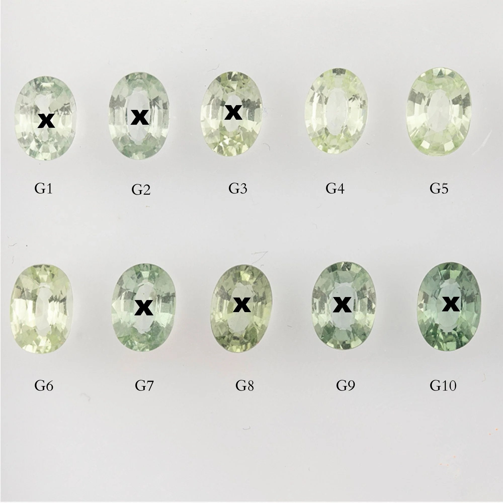 cs295.jpg