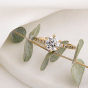 Maria Luxe Ring, IGI Certified 1.3ct Lab Diamond, 14K Yellow Gold (One of a kind)
