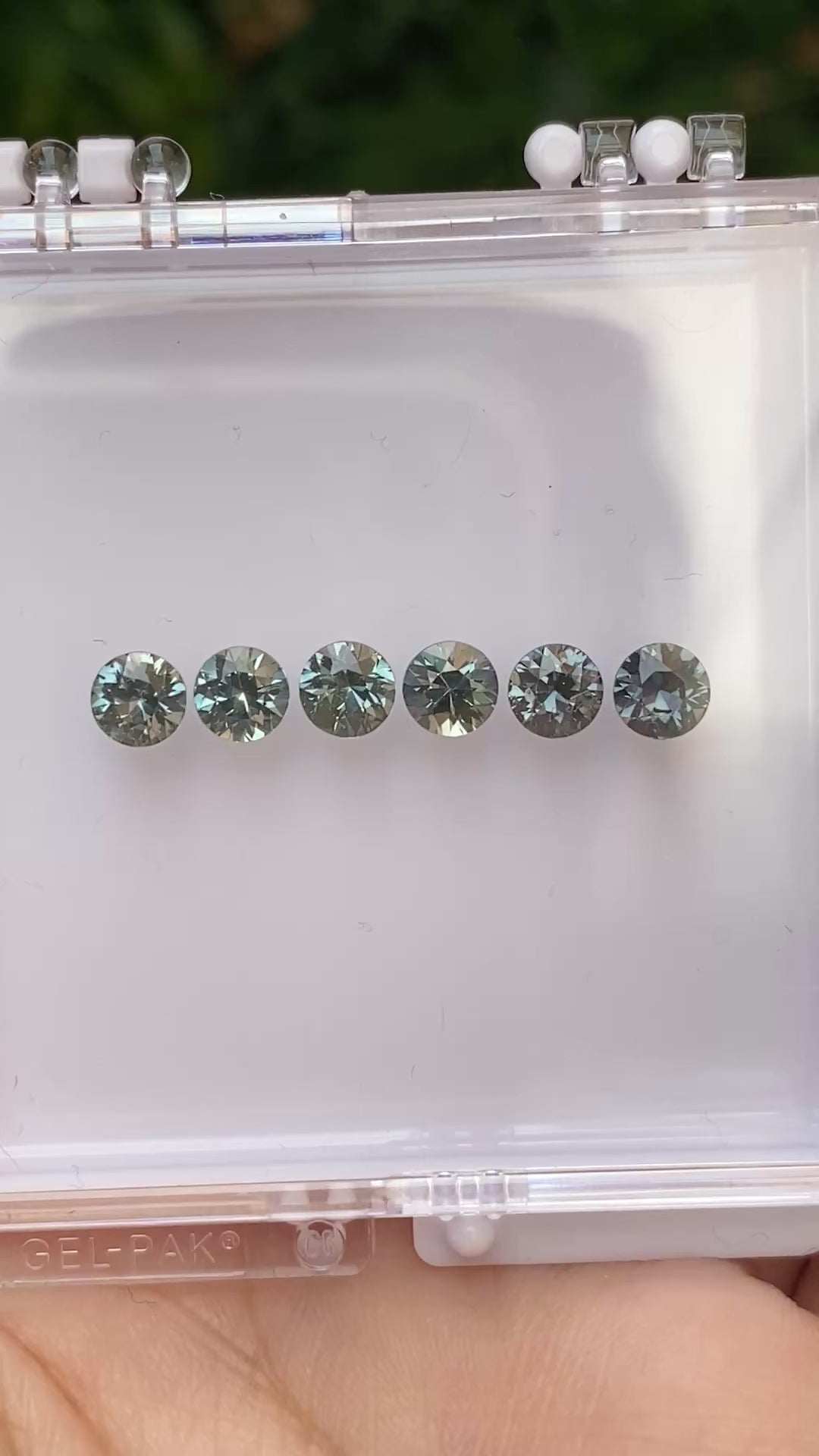 0.60ct Calibrated Round Queensland Sapphires (5.0mm) CS091
