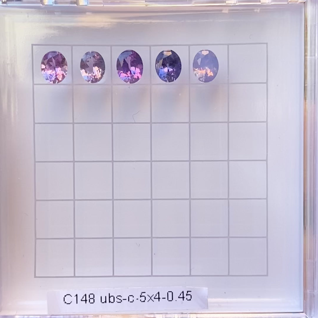 1e4292b083c74aa8b5826e766fca337b.thumbnail.0000000000.jpg