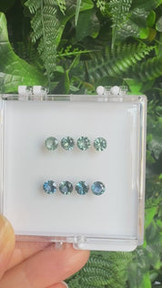 Patia Round Montana Sapphire Charm