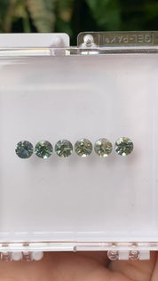 0.50ct Calibrated Round Queensland Sapphires (4.8mm) CS354
