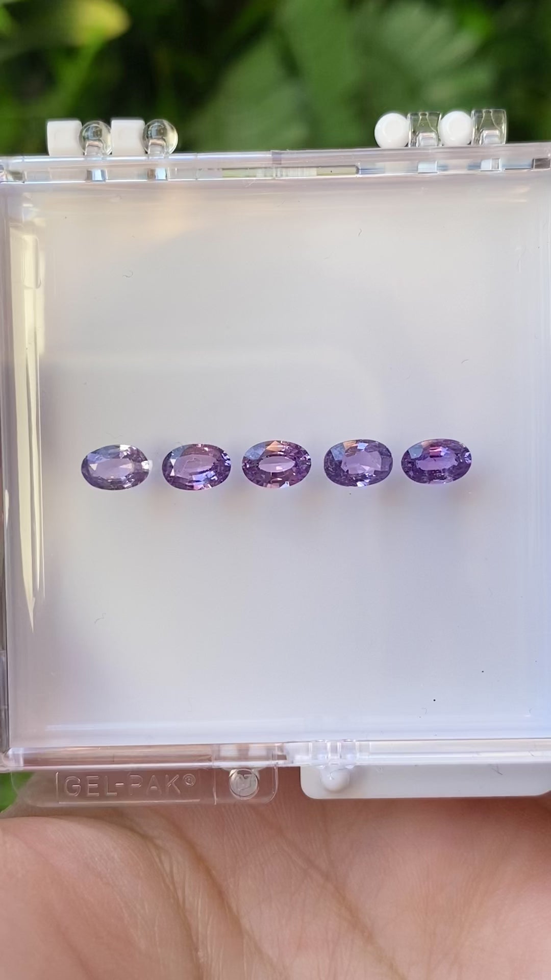 0.50ct Calibrated Oval Purple Sapphires (6.0mm)