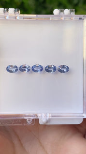 0.50ct Calibrated Oval Ceylon Sapphire (6x4mm)