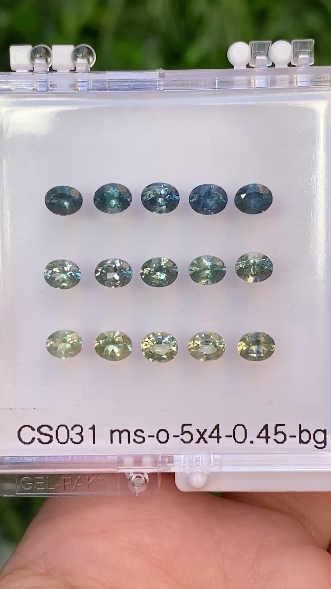 0.45ct Calibrated Oval Montana Sapphires (5.0mm) CS031