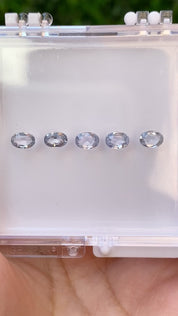 0.50ct Calibrated Oval Light Blue Unheated Sapphires (6.0mm) CS155 LB