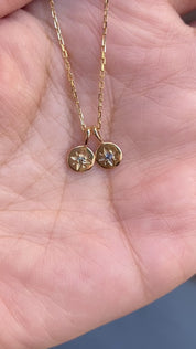 Sirius Montana Sapphire Charm