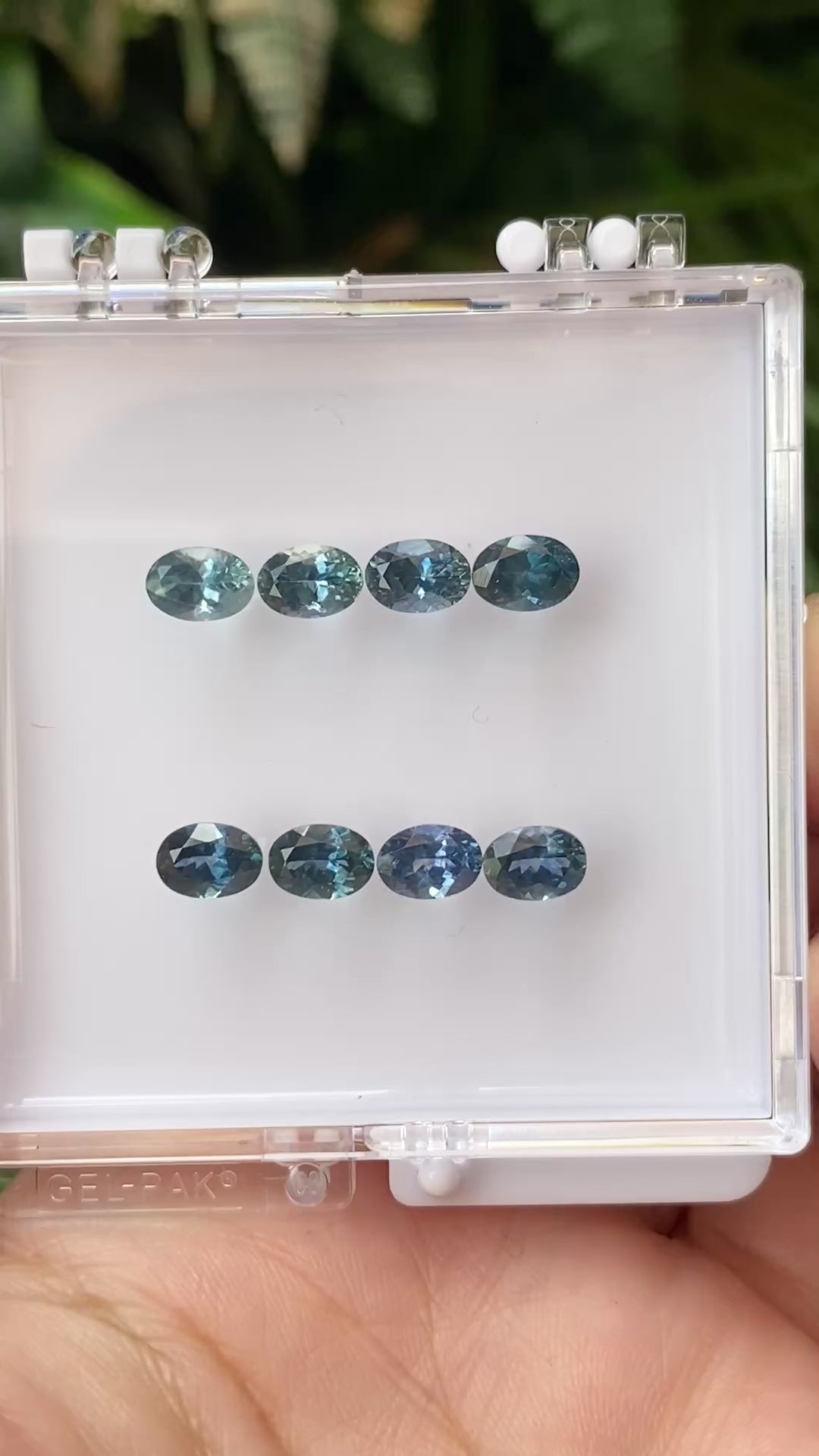 0.80ct Calibrated Oval Montana Sapphires (6.5mm) CS353(blue)