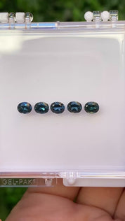 0.45ct Calibrated Oval Queensland Sapphire (5.0mm) CS109