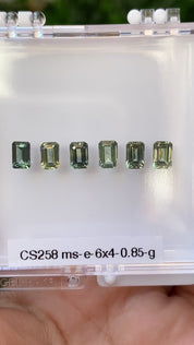0.85ct Calibrated Emerald Montana Sapphires (6x4mm) CS258