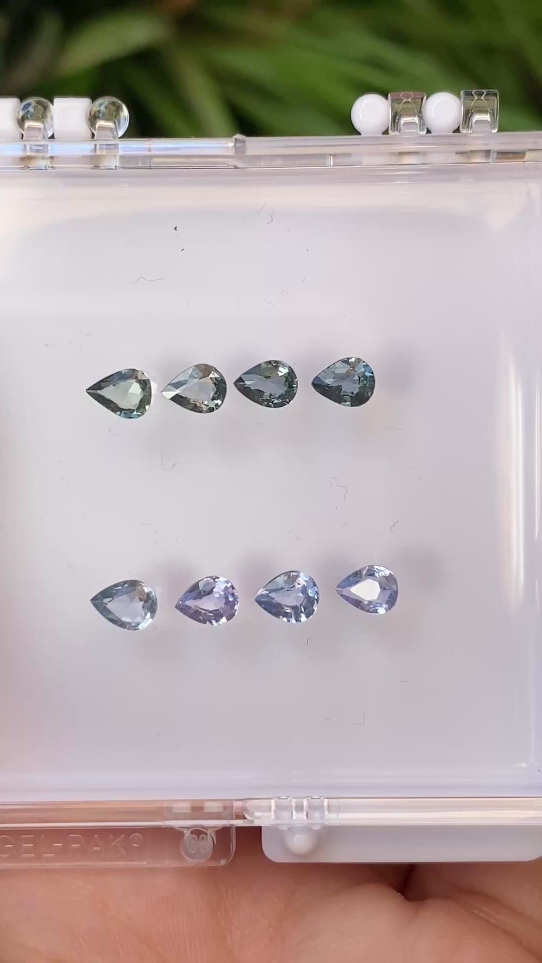 0.30ct Calibrated Pear Unheated Sapphires (5x4mm) CS128