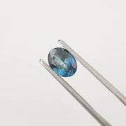 1.62ct oval cut teal blue Montana sapphire held by silver tweezers on white background