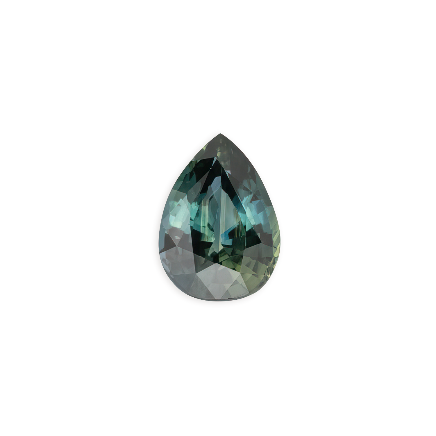 mds-p-9.23-2.03-pbg-nwg.png